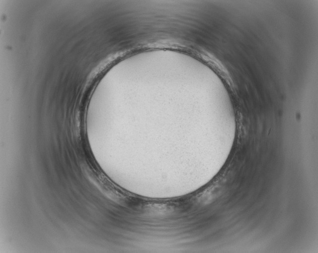 X0000086080298200704202158