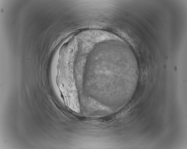 X0000086080299200704202158