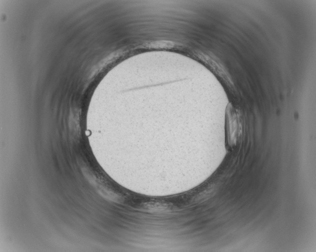 X0000086080300200704202158