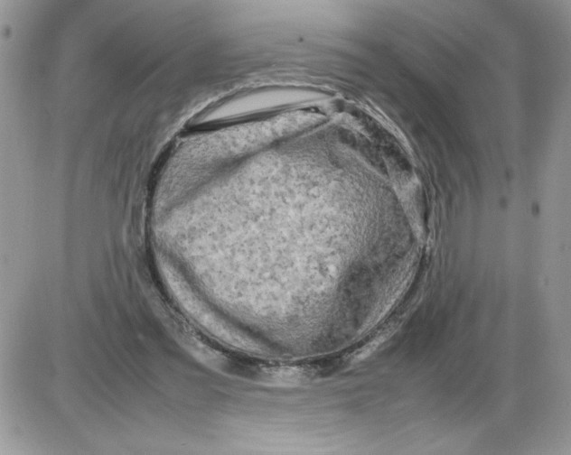 X0000086080301200704202158