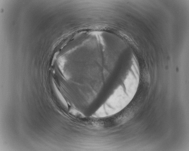 X0000086080303200704202158