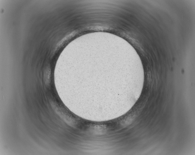 X0000086080304200704202158