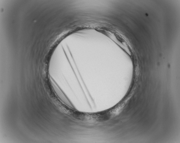 X0000086080305200704202158