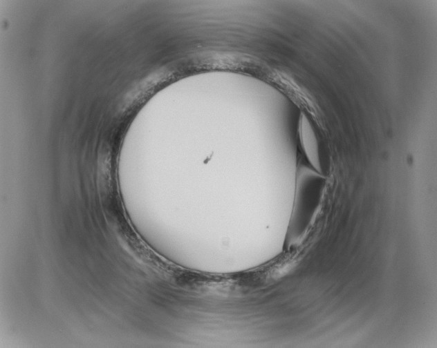 X0000086080306200704202158