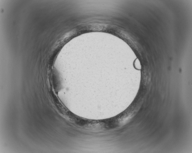 X0000086080307200704202158