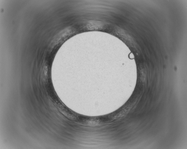 X0000086080308200704202158