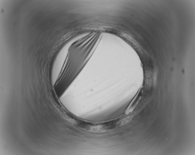 X0000086080309200704202158