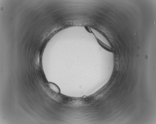 X0000086080310200704202158