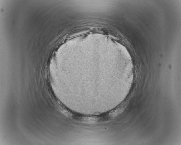 X0000086080313200704202158