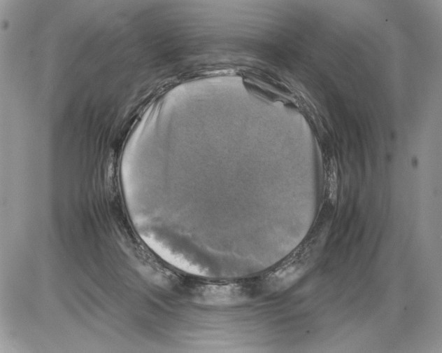 X0000086080314200704202158