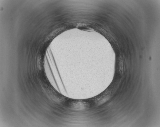 X0000086080316200704202157