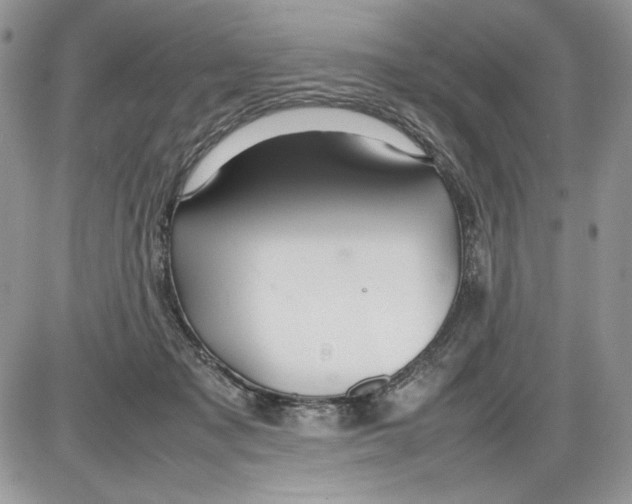 X0000086080317200704202157