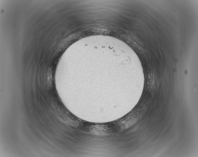 X0000086080320200704202157