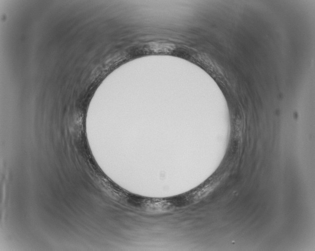 X0000086080321200704202157