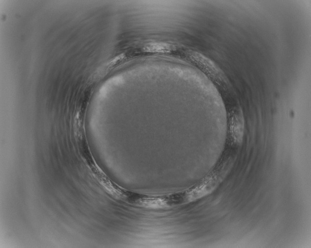 X0000086080322200704202157