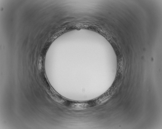 X0000086080323200704202157