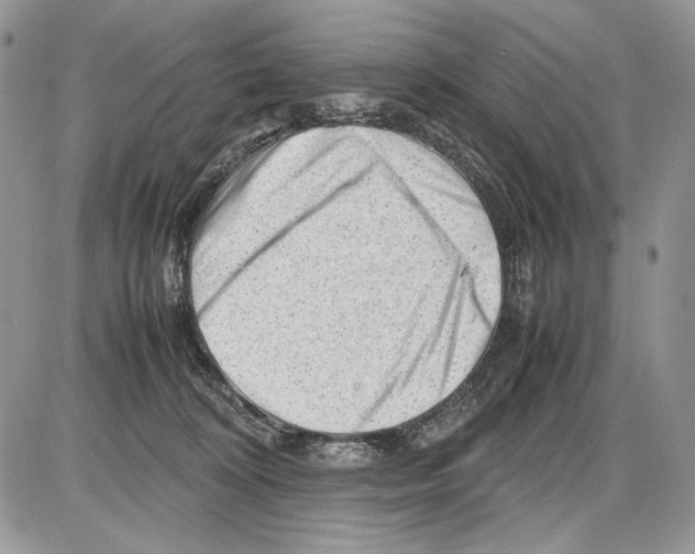 X0000086080324200704202157