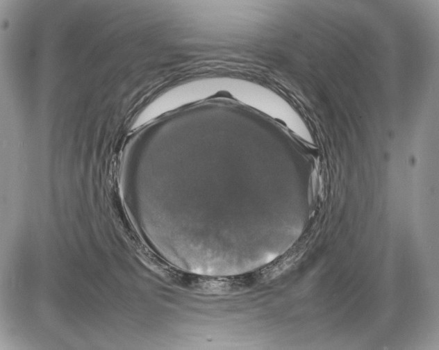 X0000086080325200704202157