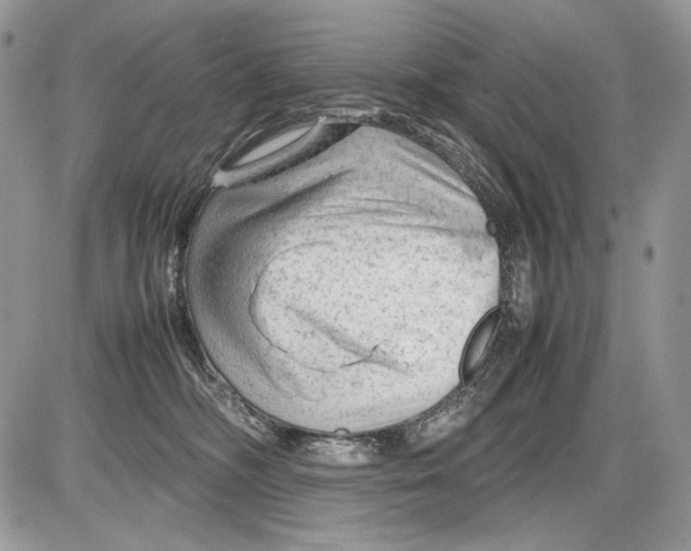 X0000086080326200704202157