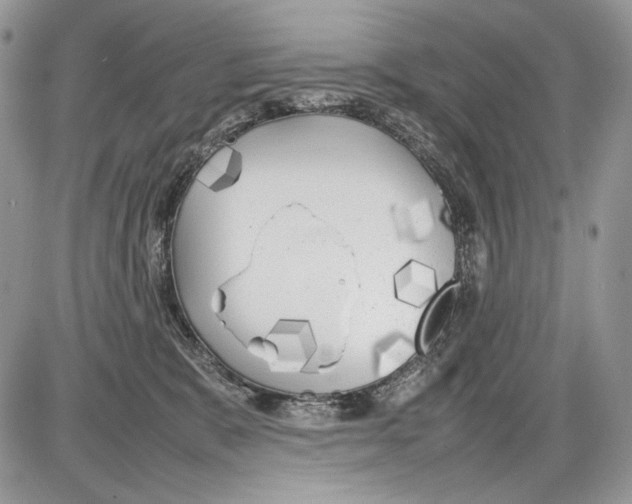 X0000086080327200704202157