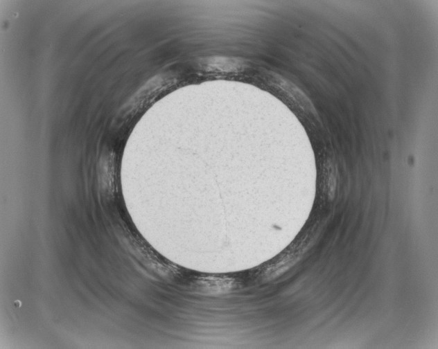 X0000086080328200704202157