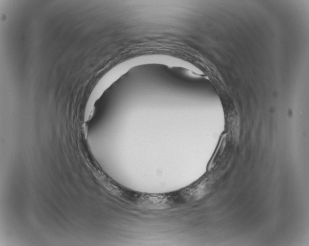 X0000086080329200704202157