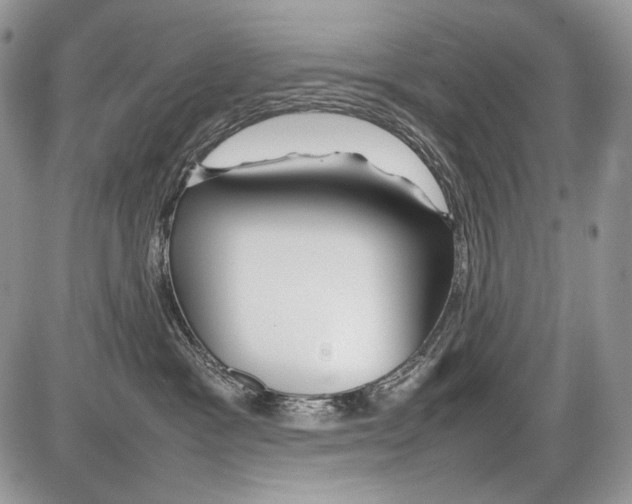 X0000086080333200704202157