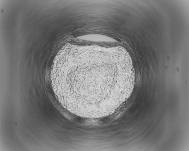 X0000086080335200704202157