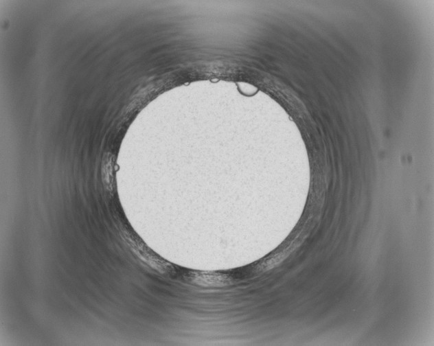 X0000086080336200704202157