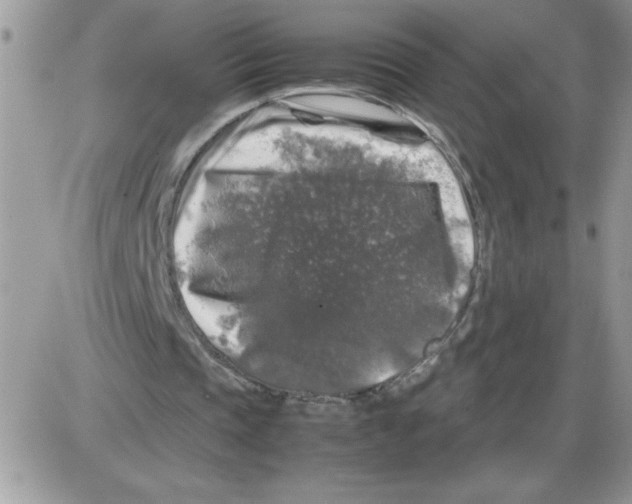 X0000086080337200704202156