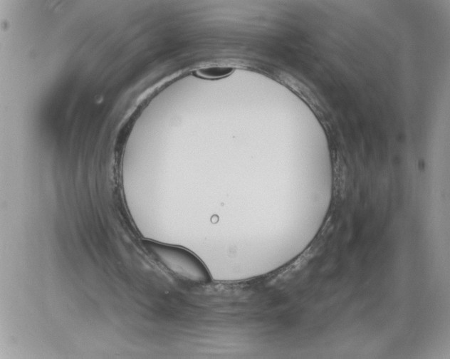 X0000086080338200704202156