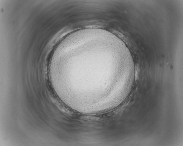 X0000086080339200704202156