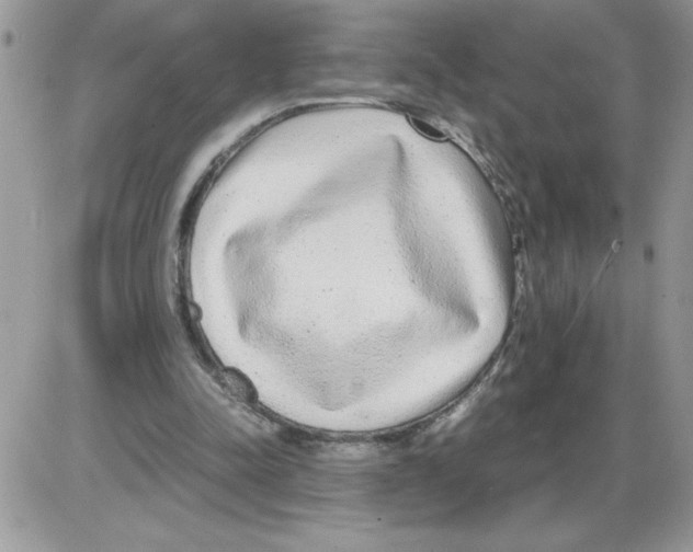 X0000086080342200704202156