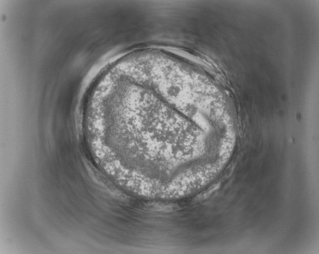 X0000086080343200704202156