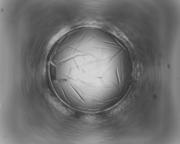 X0000086080344200704202157