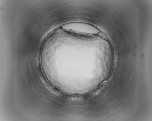 X0000086080345200704202157