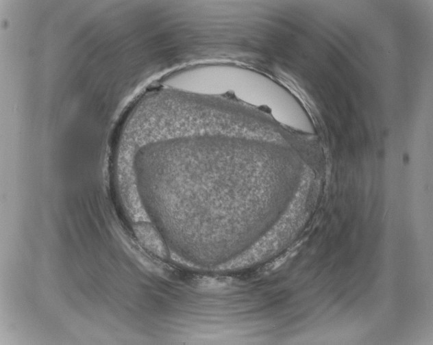 X0000086080346200704202157