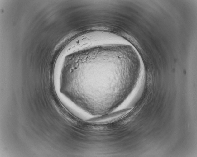 X0000086080349200704202157