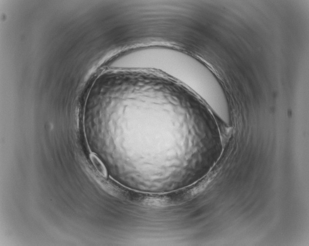 X0000086080350200704202157