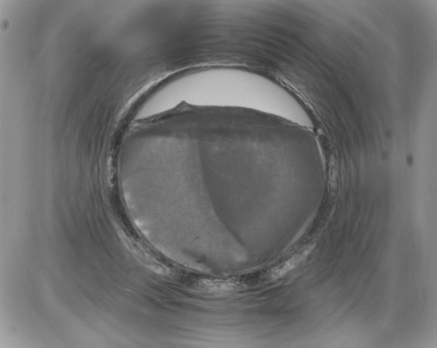 X0000086080351200704202157