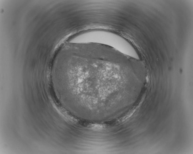 X0000086080352200704202157