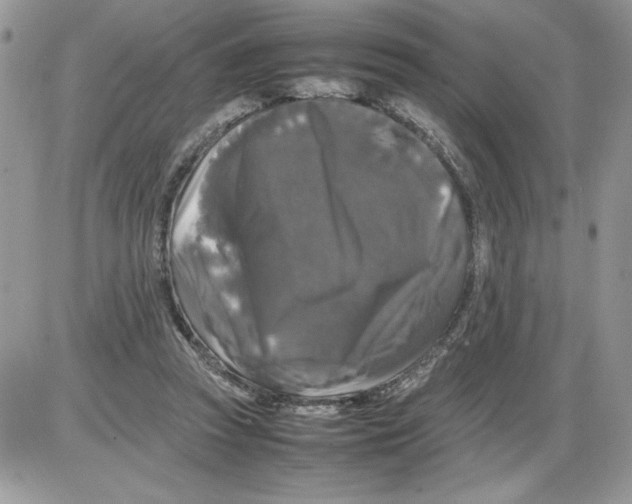 X0000086080353200704202157