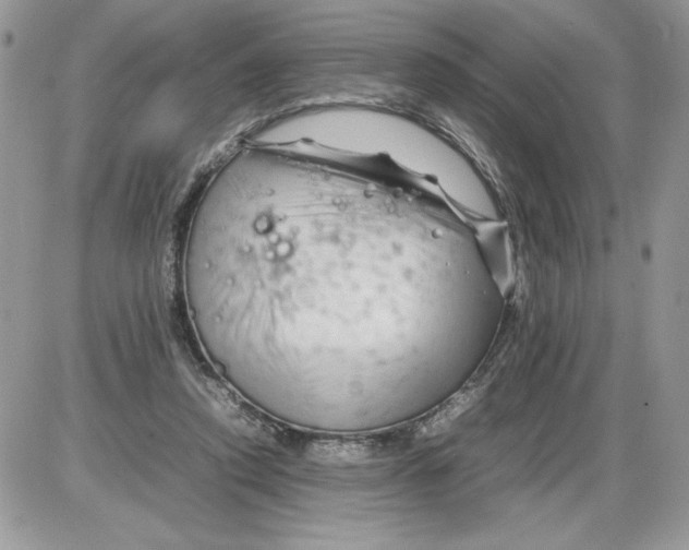 X0000086080354200704202157