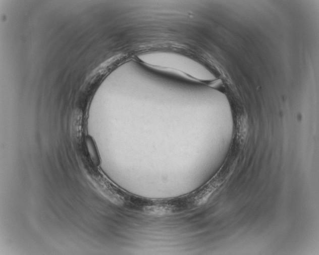 X0000086080356200704202157