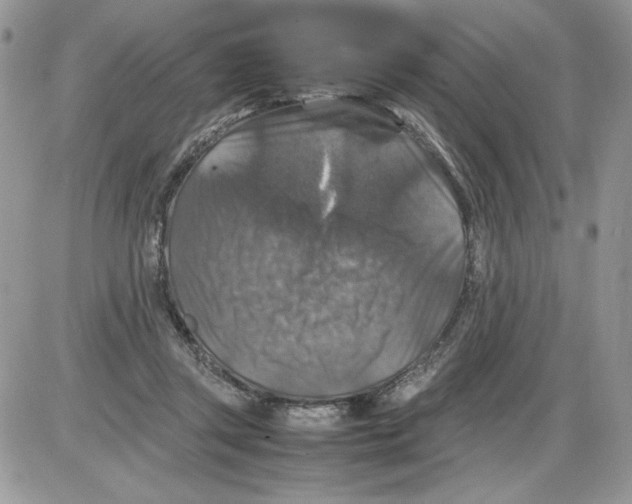 X0000086080357200704202157