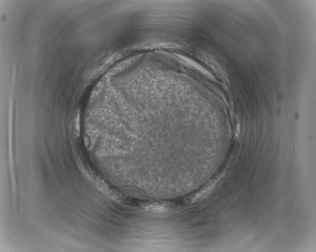 X0000086080358200704202157