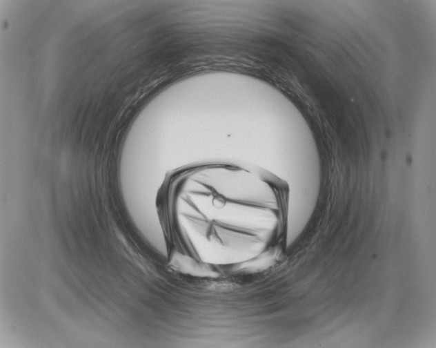 X0000086080360200704202157