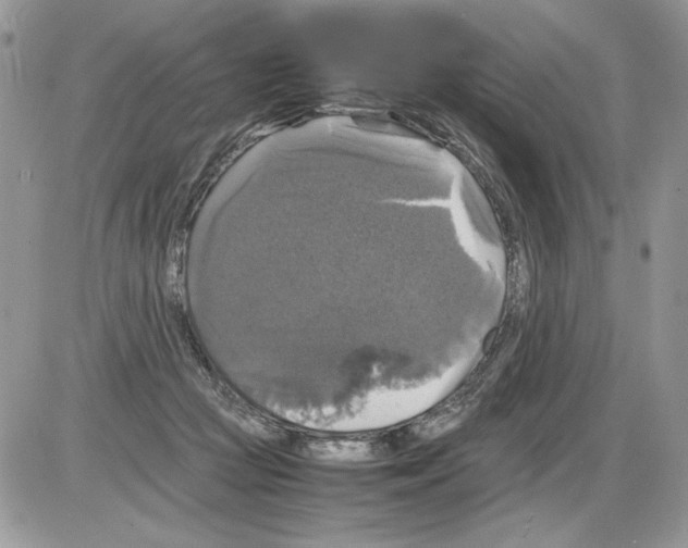 X0000086080361200704202157