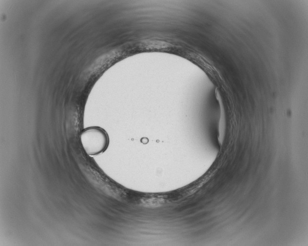 X0000086080362200704202157