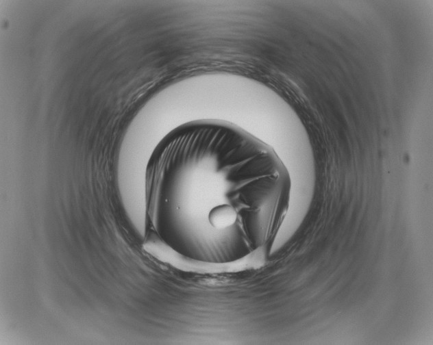 X0000086080364200704202157